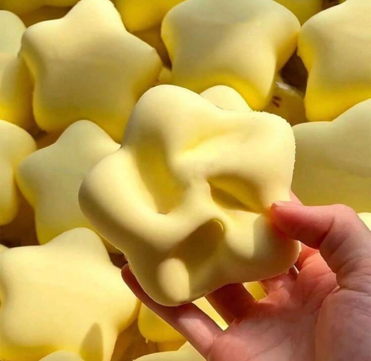 Slow Rising Star Squishy