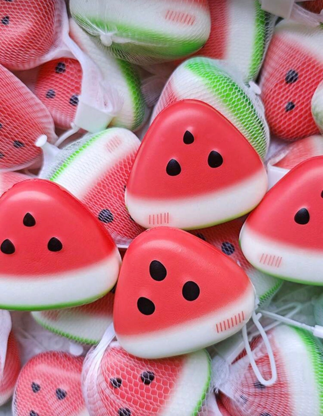 Watermelon Squishy